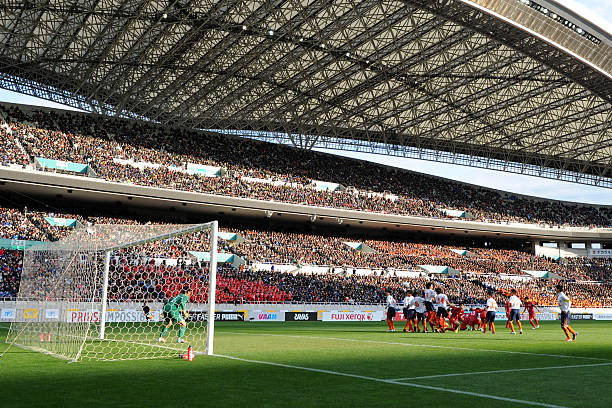 不仅俘获动 不仅俘获动