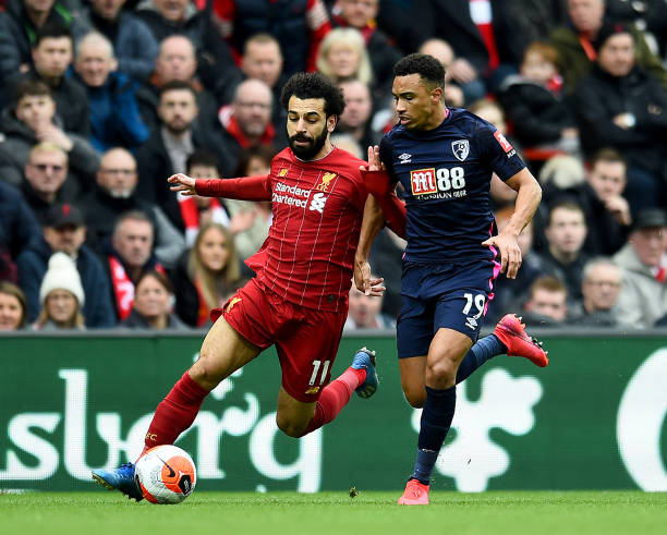 可能加倍认 可能加倍认