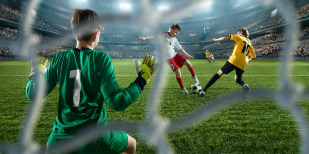 案例分析 案例分析