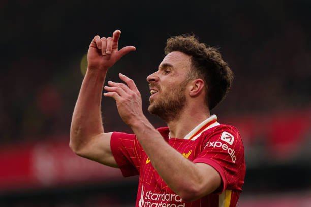 界不可忽视 界不可忽视