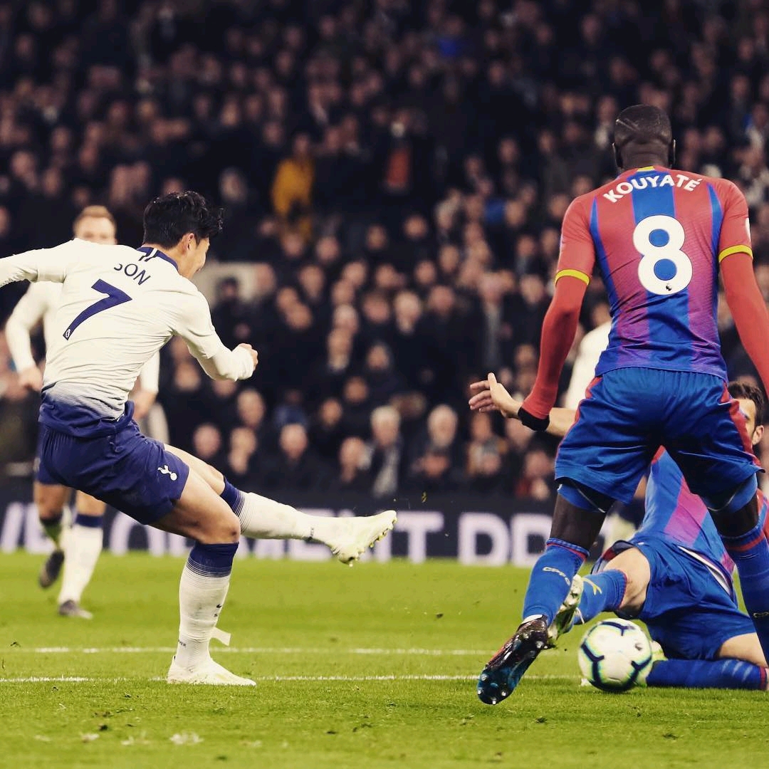 树立了标准 树立了标准